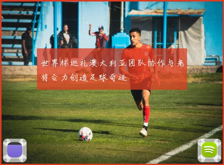 世界杯巡礼澳大利亚团队协作与老将合力创造足球奇迹
